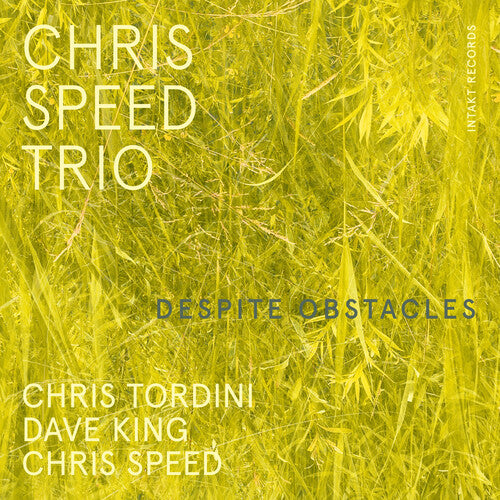 Chris Speed ​​Trio - A pesar de los obstáculos (CD)