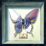 Tricot - 3 (Vinilo)