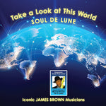 the album cover for Soul De Lune - Take A Look At This World [LP]