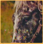 Spirit of the Beehive - Pleasure Suck (Vinyl)