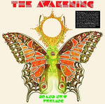 The Awakening - Brand New Feeling (Vinyl)