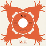 the album cover for Alessandro Alessandroni - L'altro Dio