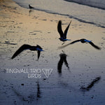 Tingvall Trio - Birds (Vinyl)