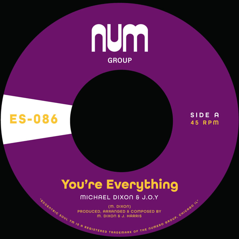 the album cover for Michael DixonA. & J.O.Y. - You're Everything B/W You're All I Need [Colored Vinyl]