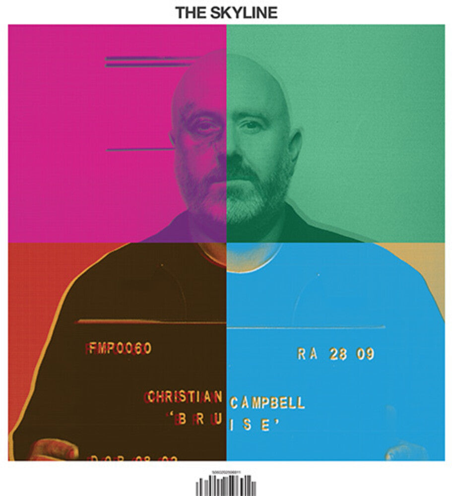 the album cover for Bruise - Skyline