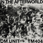 In The Afterworld (Vinyl)