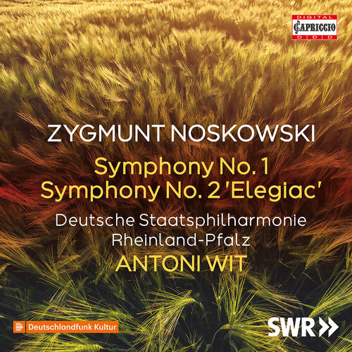 Deutsche Staatsphilharmonie Rheinland-Pfalz - Symphonies Nos. 1 & 2 Elegiac (CD)