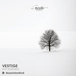 the album cover for Behzadi / Catranis / Riot Ensemble - Vestige