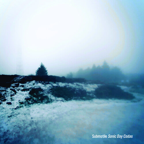 Submotile - Sonic Day Codas (Vinyl)
