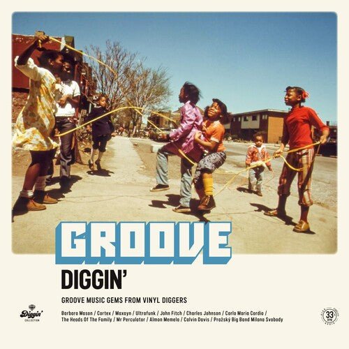 Various Artists - Groove Diggin / Various (レコード)