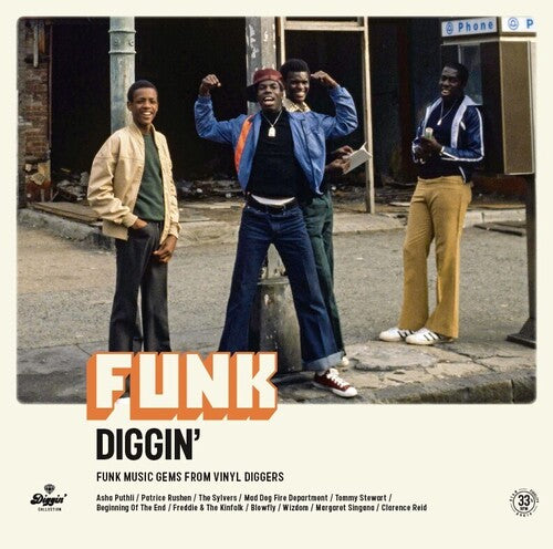 Various Artists - Funk Diggin / Various (Vinyl)