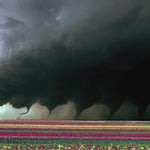 the album cover for M.A.G.S. - Destroyer