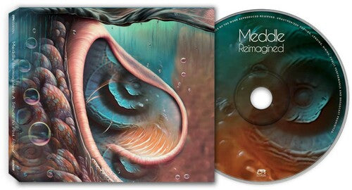 Various Artists - Meddle Reimagined - A Tribute To Pink Floyd (Various Artists) (CD)