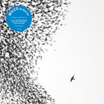 Wilco - Cielo azul cielo (Vinilo)