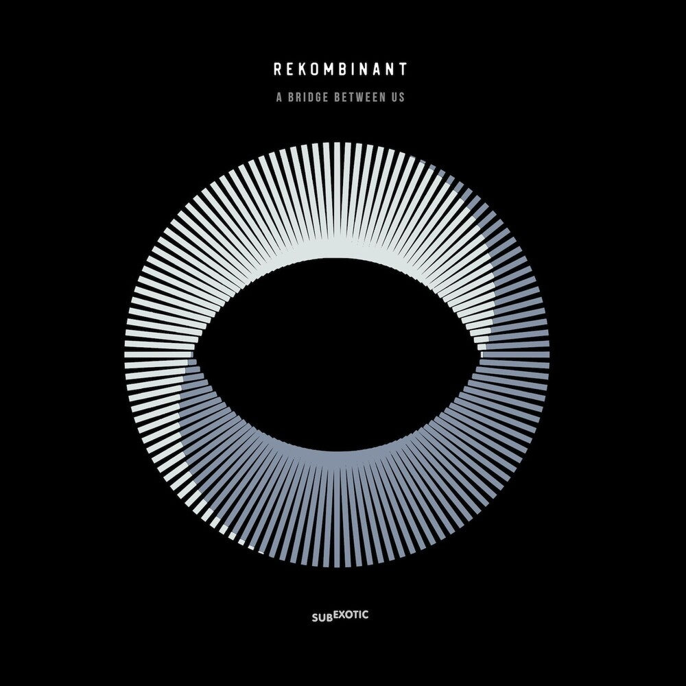 the album cover for Rekombinant - Bridge Between Us (Uk)