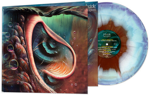 Various Artists - Meddle Reimagined - A Tribute To Pink Floyd (Various Artists) (Vinyl)