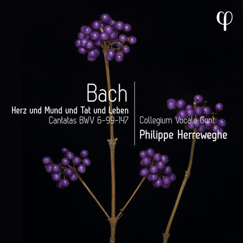 Collegium Vocale Gent - Erz und Mund und Tat und Leben - Cantatas, BWV (CD)