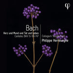 Collegium Vocale Gent - Erz und Mund und Tat und Leben - Cantatas, BWV (CD)