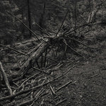 Sult - Always I Gnaw (Vinyl)