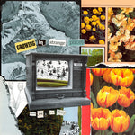 I'm Sorry Thank You - Growing In Strange Places - Orange Crush (Vinyl)