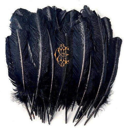 デヴィッド・ユージン・エドワーズ - Hyacinth (ビニール盤)