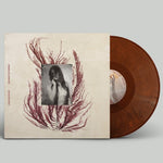 the album cover for Dead Leaf Echo - The Mercy Of Women - Brown (Brwn) [Colored Vinyl]