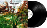 Ludovico Einaudi - En un lapso de tiempo (Vinilo)
