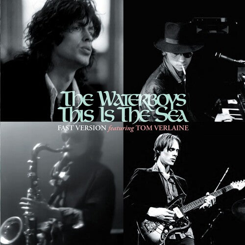 The Waterboys - This Is the Sea [Fast] (Vinyl)