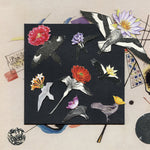 the album cover for Caroline Davis - Alula: Captivity