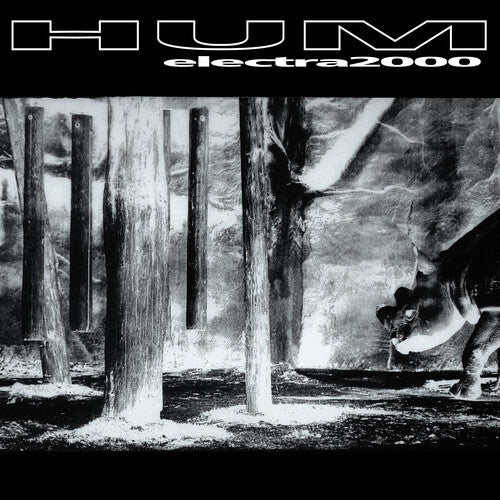 Hum - Electra 2000 (レコード)