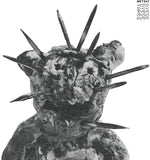 the album cover for Judgitzu - Sator Arepo