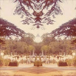 Tom James Scott - Nightshade (Vinyl)