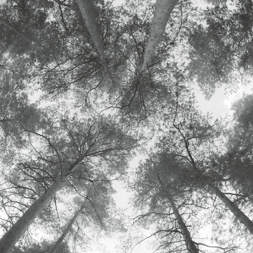 Cassandra Miller - Traveller Song/Thanksong (Vinyl)