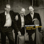 the album cover for Brahms / Krenek / Feininger Trio - Piano Trios