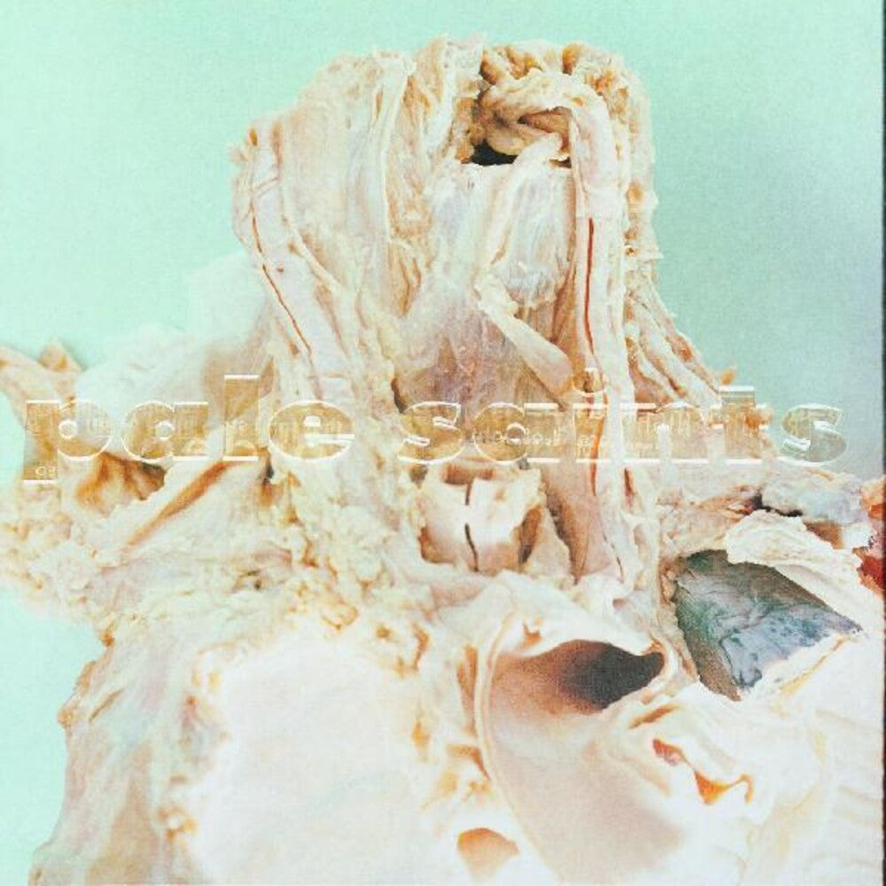 the album cover for Pale Saints - In Ribbons