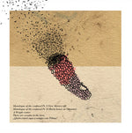 Adobe Homes : Piñata (9", S/Sided, Etch, Ltd)