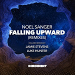 the album cover for Noel Sanger - Falling Upward (Remixes) (Mod)