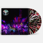 ブラック・エンジェルス - Levitation Sessions (RSDBF) (レコード)