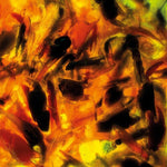 プレイグ・ライダー - インテンシティーズ (CD)