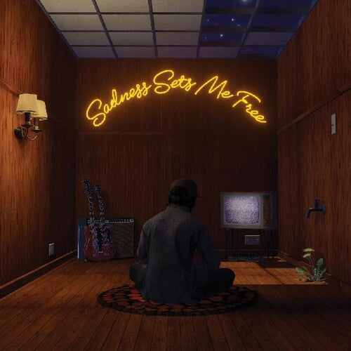 Gruff Rhys - La tristeza me libera (Vinilo)