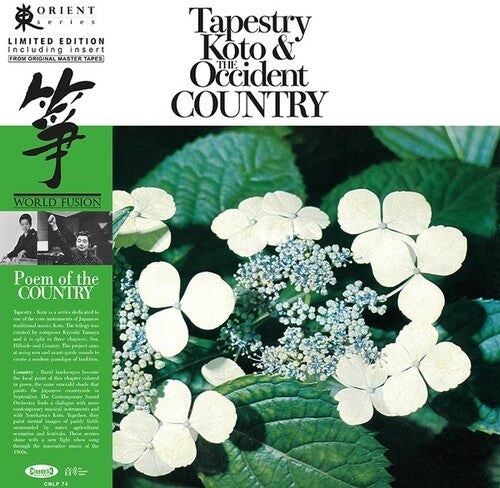 タペストリー 琴と西洋の国（ビニール）