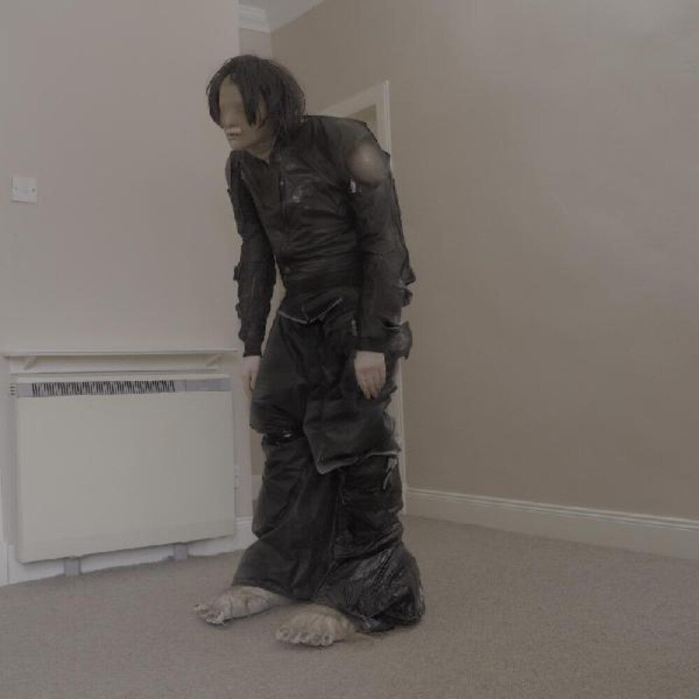 the album cover for El Perro Del Mar - Big Anonymous