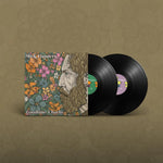 the album cover for Mick Flannery - Goodtime Charlie