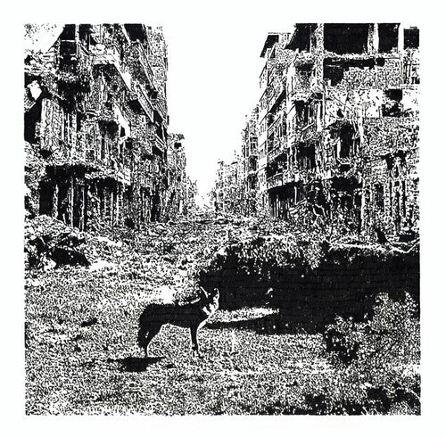 Vox Low - Sigue cayendo (Vinilo)