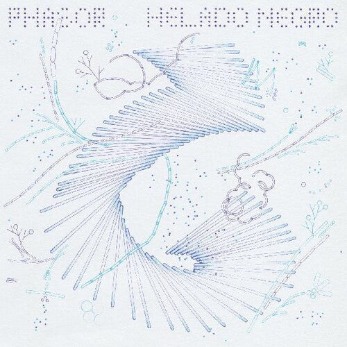 Helado Negro - Phasor (ビニールレコード)