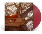 Backseat Lovers - Waiting to Spill (Edición de aniversario) (Vinilo)
