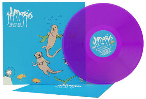 J Mascis - ¿Qué hacemos ahora? (Vinilo)