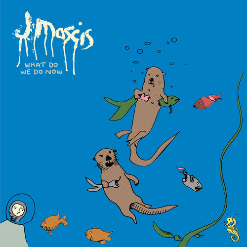 J Mascis - ¿Qué hacemos ahora? (CD)