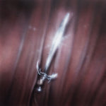 Courting - New Last Name (Vinyl)