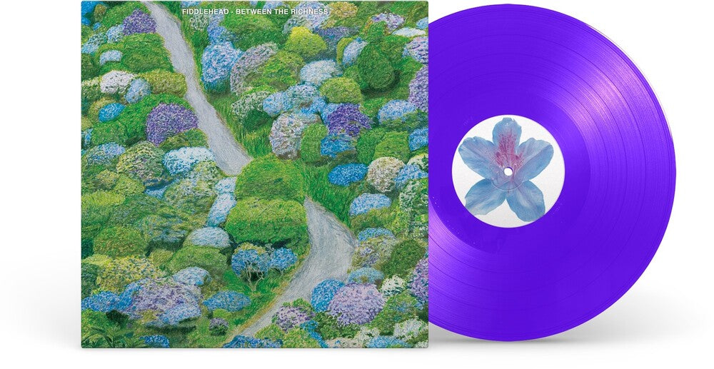 the album cover for Fiddlehead - Between The Richness [Colored Vinyl] (Viol) (Can)